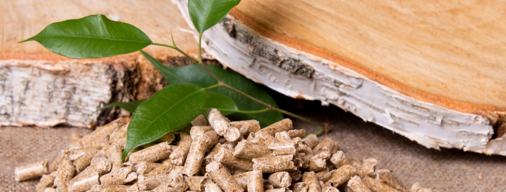 legna-pellet. quale conviene